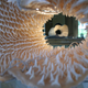 Image for article titled A corset made with hundreds of shark teeth